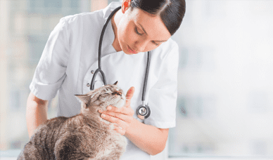 Regular Health Checkups